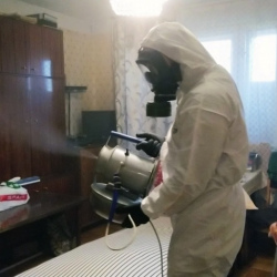 Дезинфекция от клопов в Кузьмоловском
